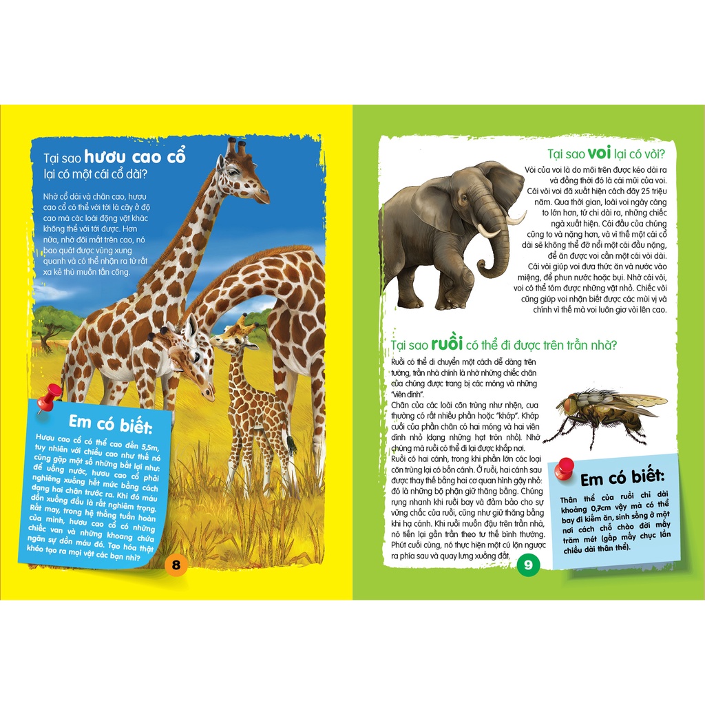 SÁCH CHÌA KHÓA MỞ CỬA THẾ GIỚI - Em Muốn Biết Tại Sao ?