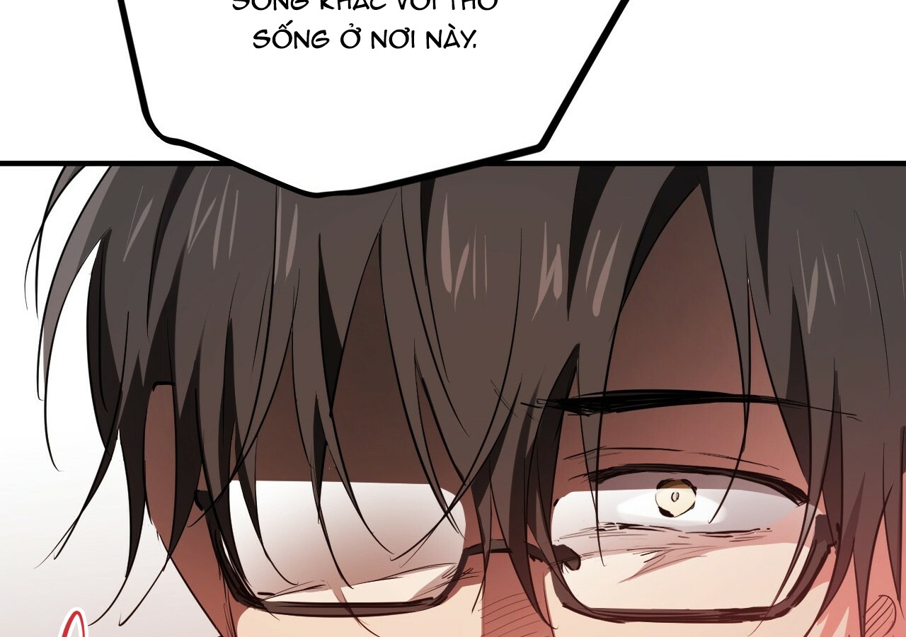 đàn thỏ của habibi chapter 21 211