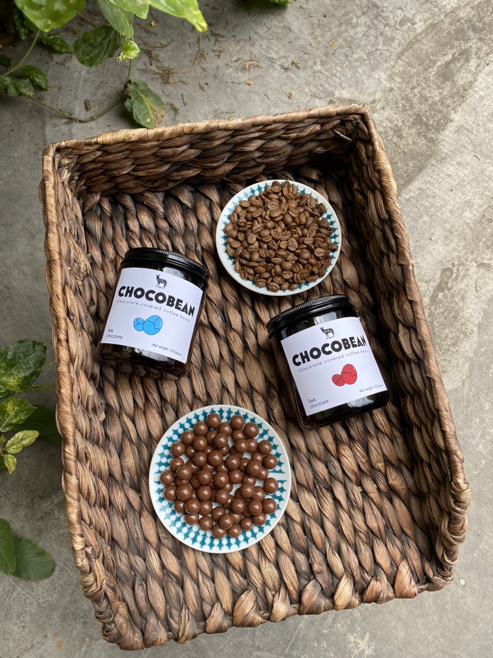 Coffee chocobean cà phê phủ sô cô la - Cà phê MULO