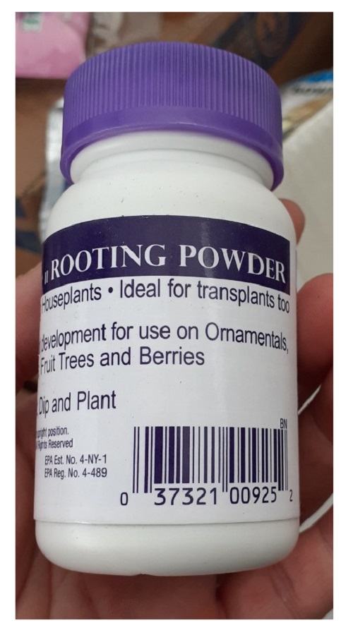 ROOTING-POWDER MỸ DẠNG BỘT SIÊU KÍCH RỂ GIÂM CHIẾT CÀNH, CHỐNG KHUẨN