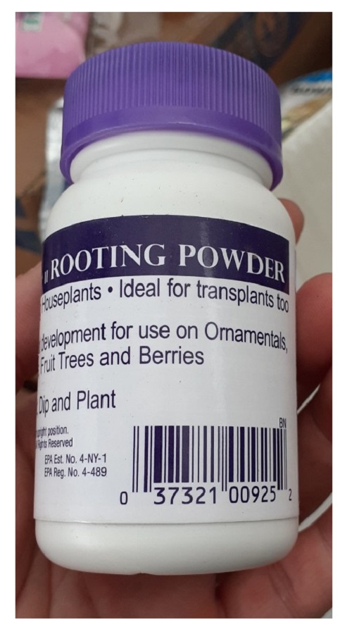 ROOTING-POWDER MỸ DẠNG BỘT SIÊU KÍCH RỂ GIÂM CHIẾT CÀNH, CHỐNG KHUẨN (HỘP 35G)