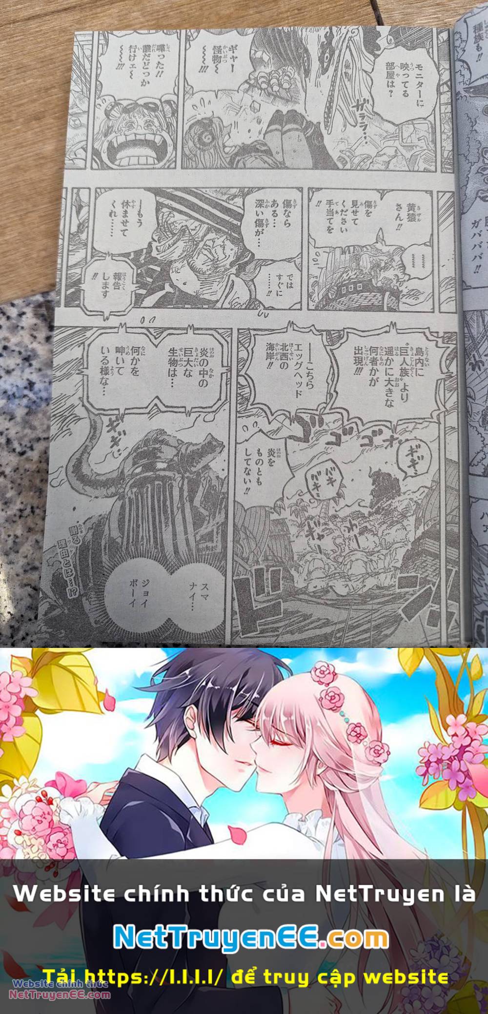 đảo hải tặc - one piece chapter 1111 21