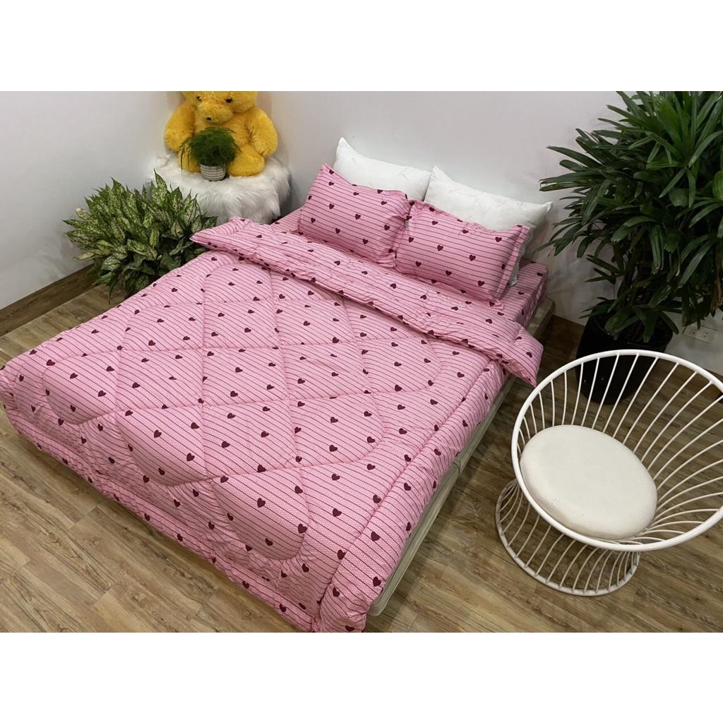 Set phao 5 món siêu rẻ