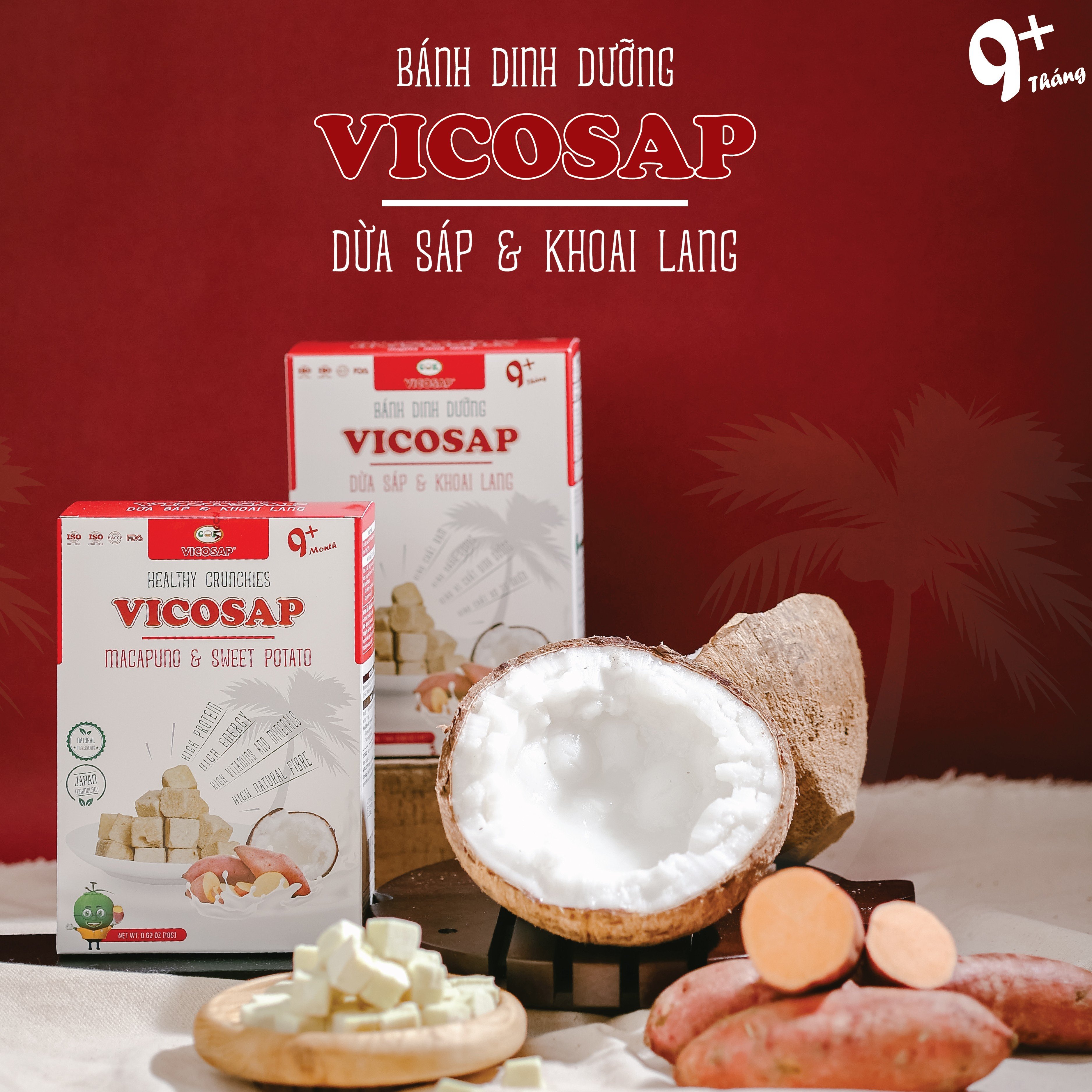 [CHO BÉ] BÁNH DINH DƯỠNG DỪA SÁP &amp; KHOAI LANG VICOSAP