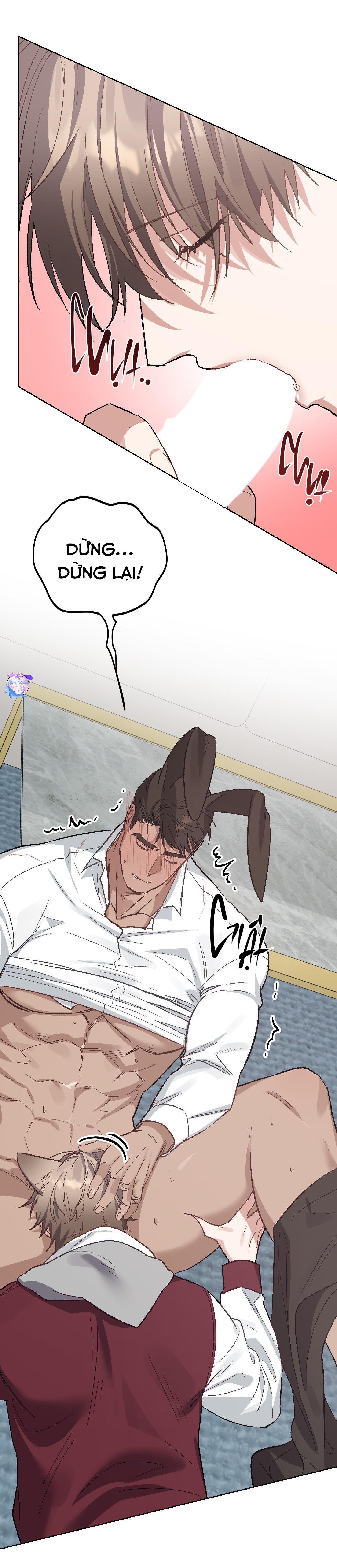 thỏ xuất tinh trong 3 giây chapter 12 65