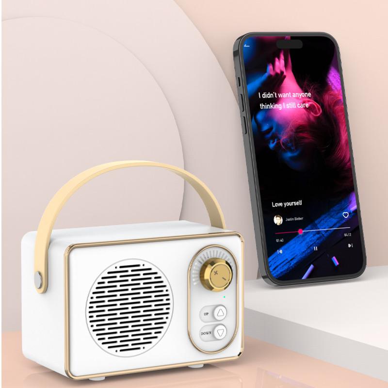 Loa Bluetooth cổ điển Mini Máy nghe nhạc cổ điển không dây di động Sạc USB Âm thanh nổi Trang trí loa cổ điển Màu sắc: DW21-Xanh đậm