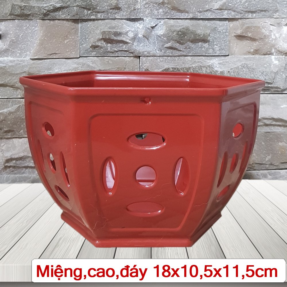 5 Chậu nhựa Đồng Tiền trồng lan cao cấp siêu bền đường kính 18x10.5x11.5cm- 77580