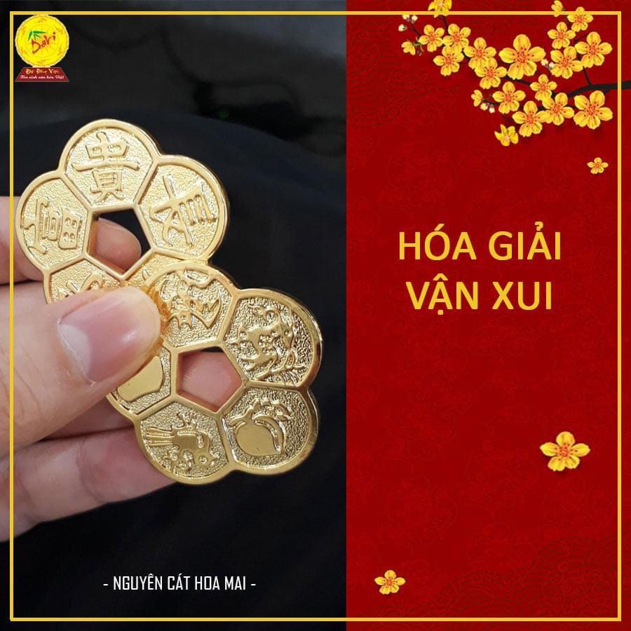 Đồng tiền HOA MAI - Hoa mai kim tiền