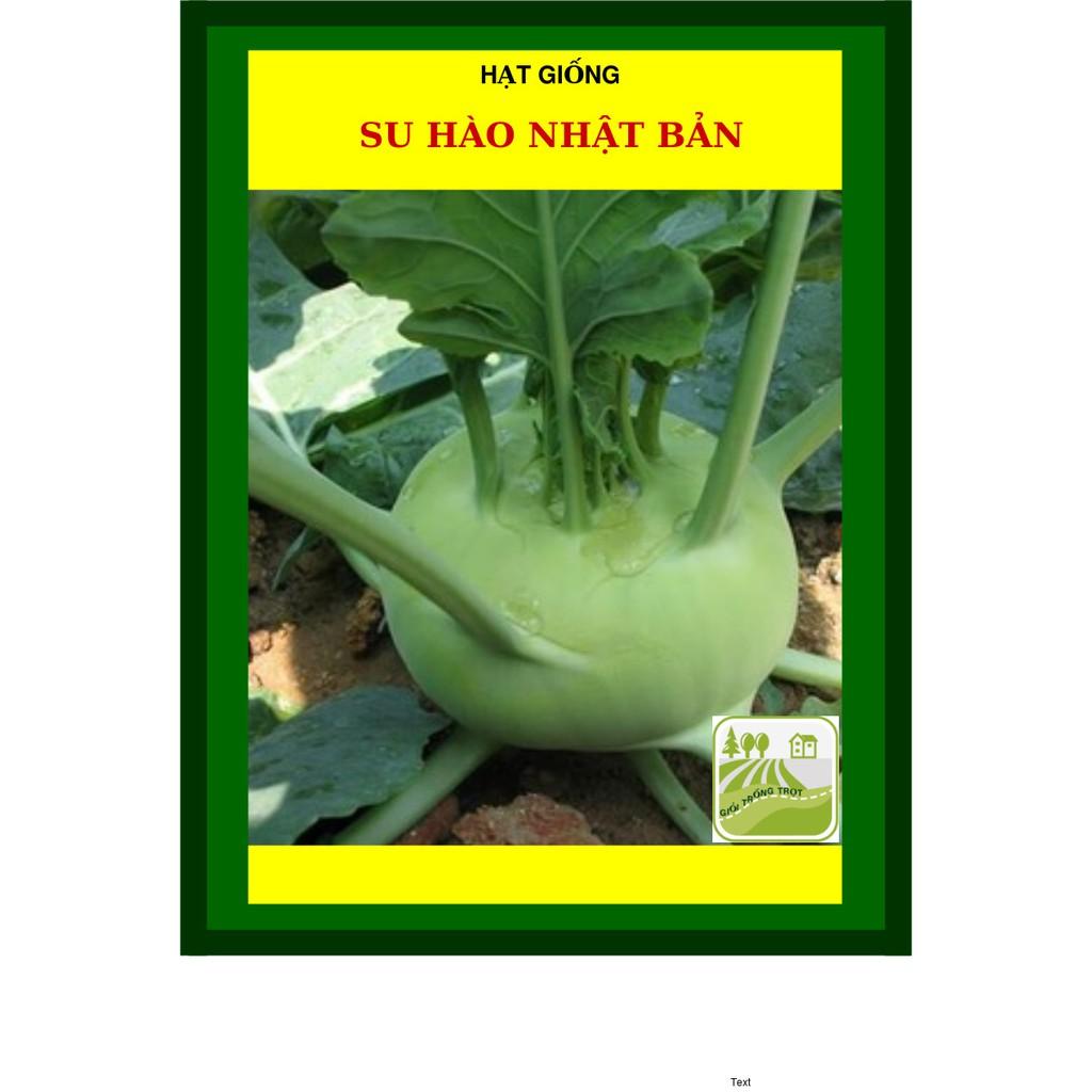 2G - Hạt Giống Su Hào Nhật Bản, Su Hào Tím