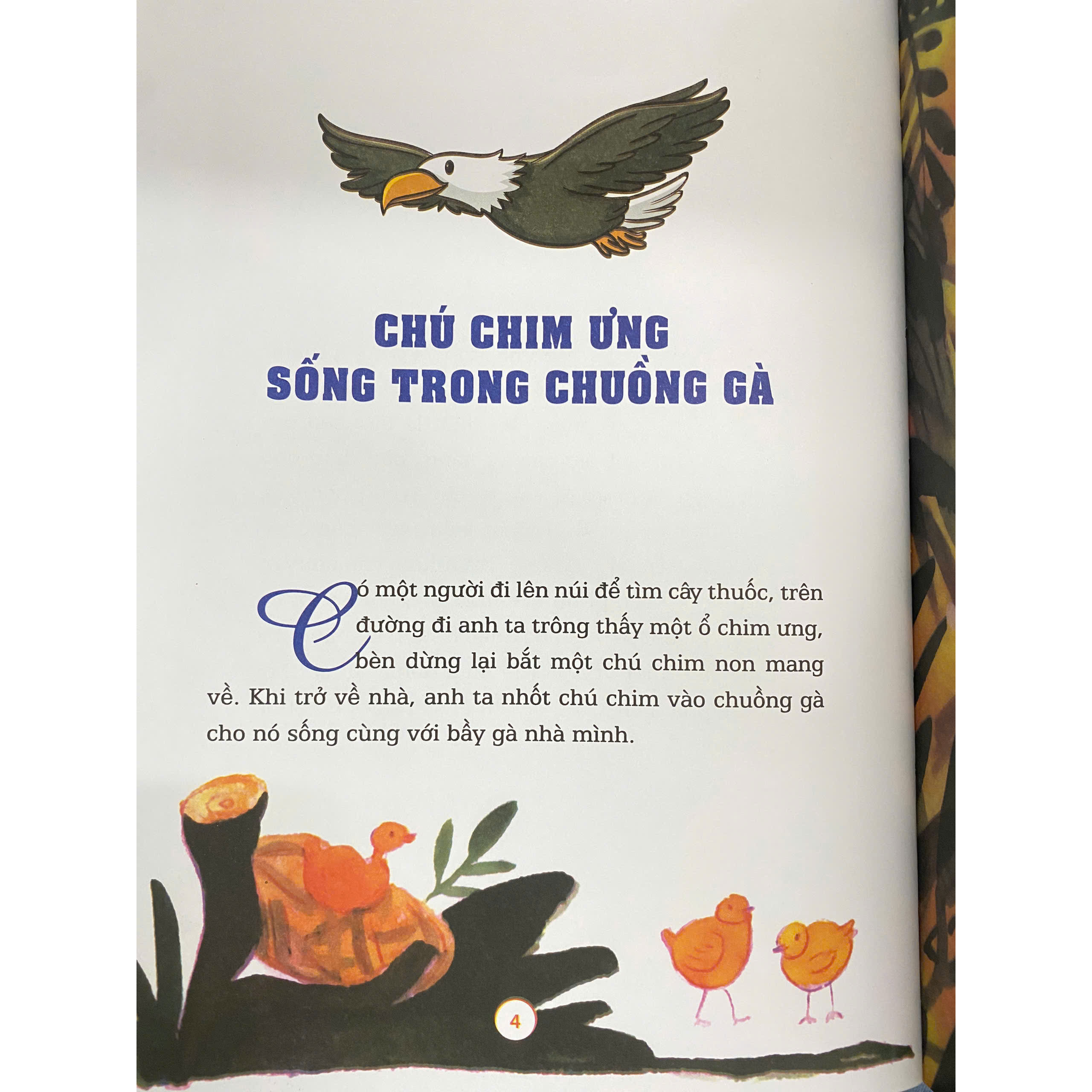 Nhật ký trưởng thành - Kỹ năng thể hiện tự tin trước đám đông