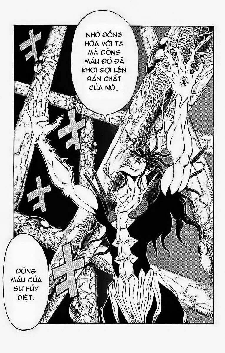 vua trên biển chapter 251 7