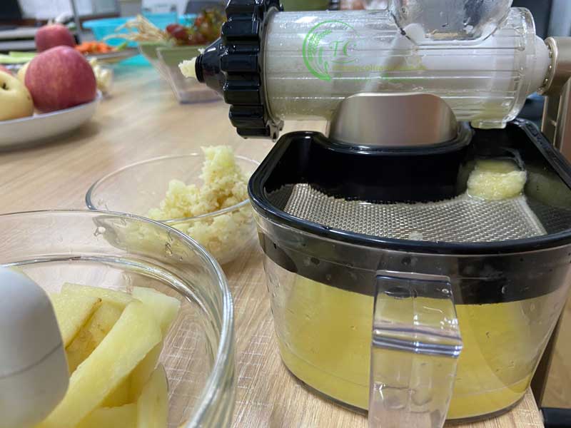 Máy ép chậm bằng tay Healthy Juicer