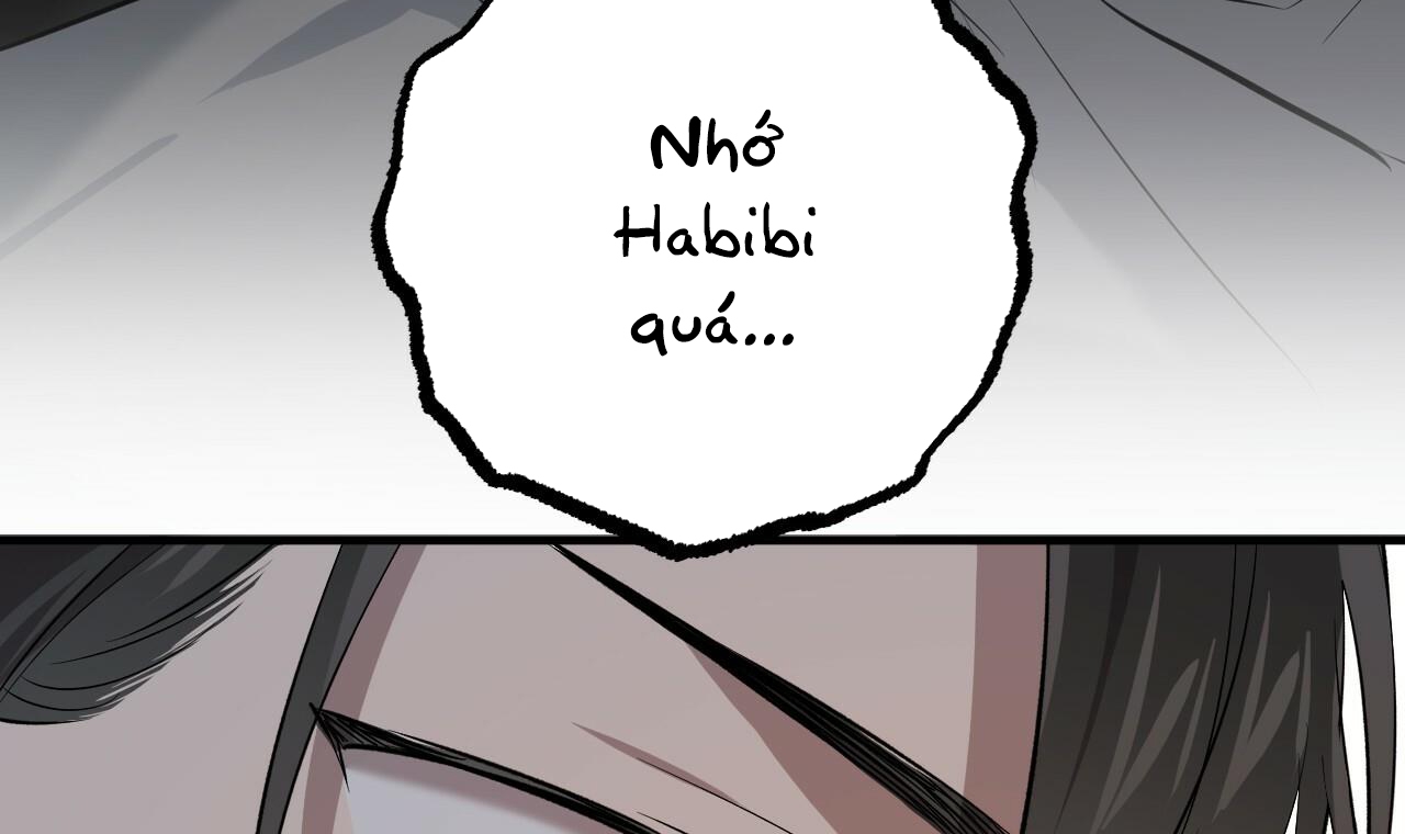 đàn thỏ của habibi chapter 55 66
