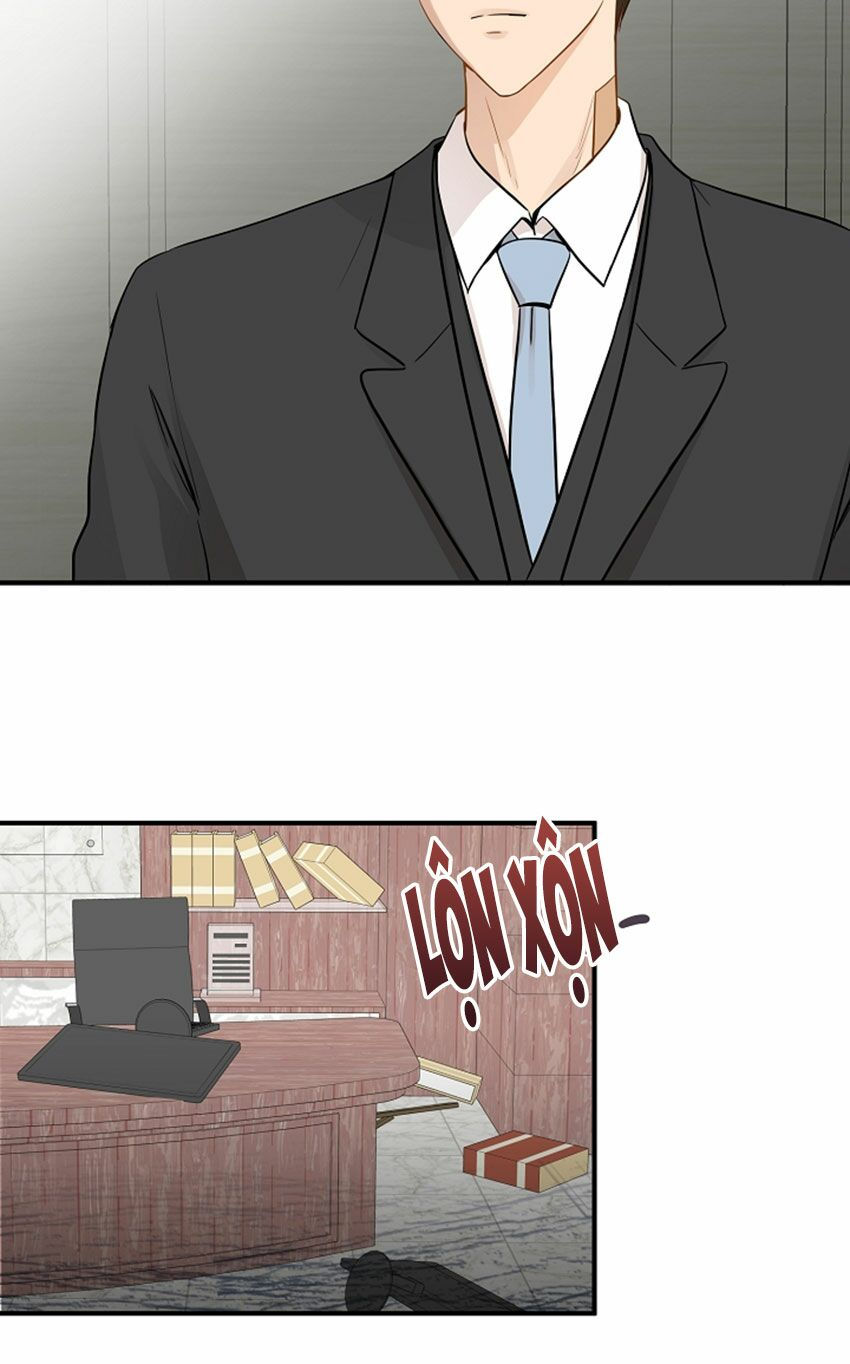 cuộc sống kỳ thú chapter 12 19