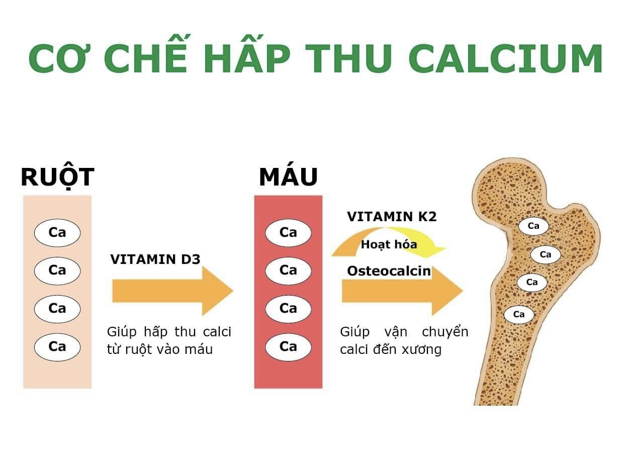 Chai Nhỏ Giọt Vitamin D3 Giúp Hấp Thu Canxi Tối Đa Cho Bé Từ 0 Tháng Tuổi Drops Vitmin D3&K2-Mk7 Babywin VIPHAR Chai 10Ml 200 Giọt
