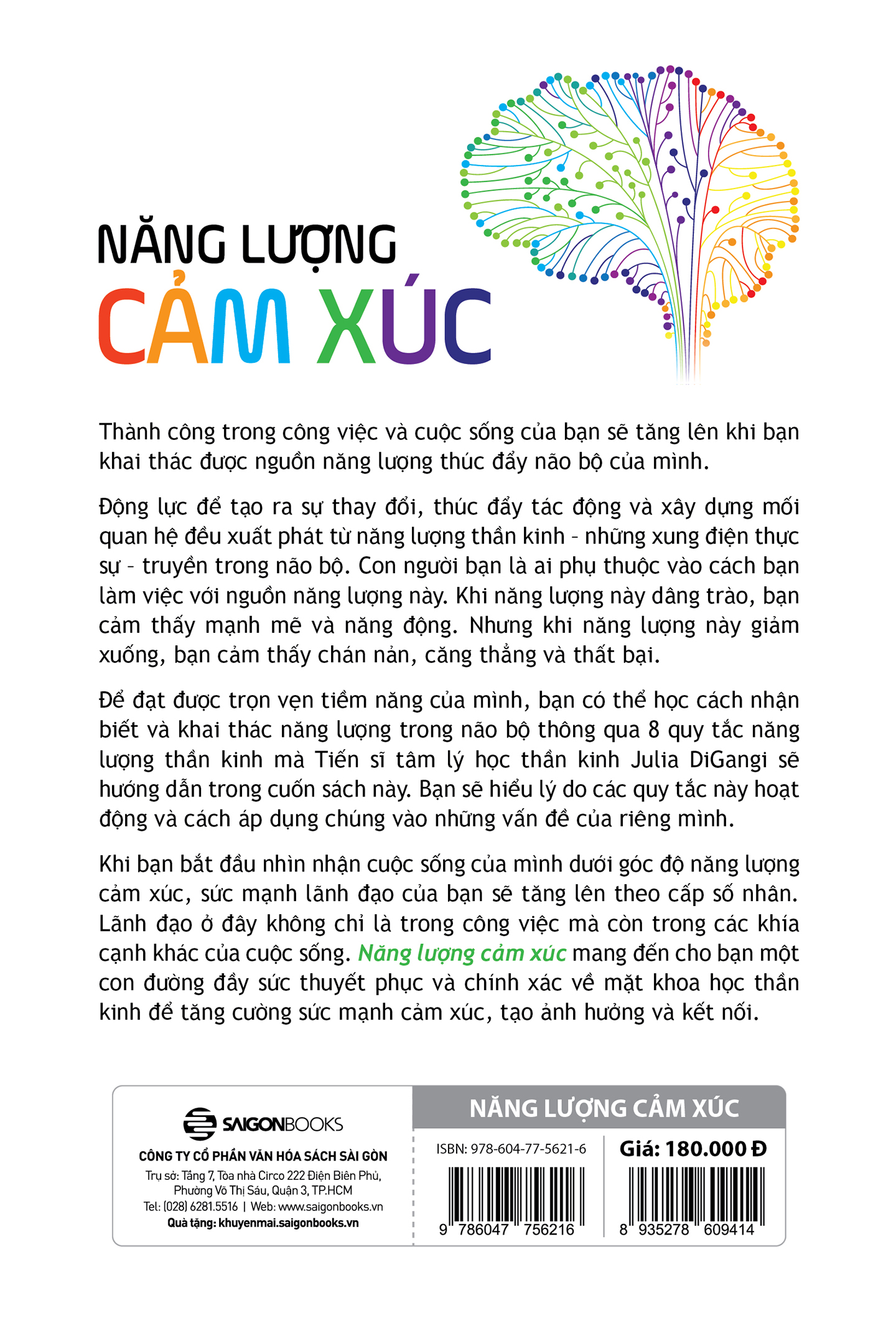 Năng Lượng Cảm Xúc - Khoa học thần kinh về lãnh đạo bằng sức mạnh cảm xúc