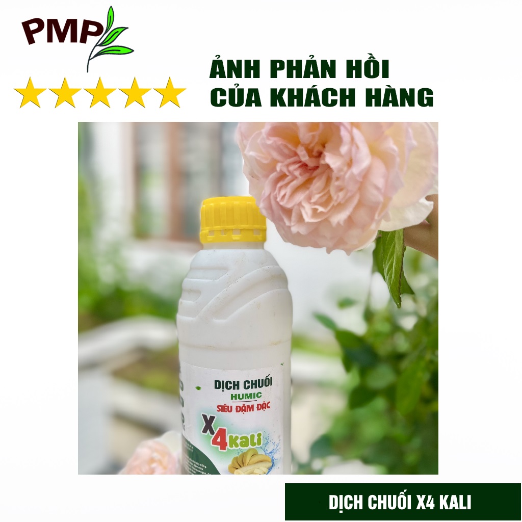 Phân Bón Hoa Hồng Combo Phân Đậu Nành Soymic - Dịch Chuối Humic
