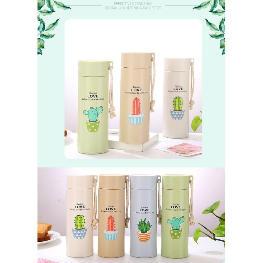 BÌNH NƯỚC XƯƠNG RỒNG 450ml siêu đẹp