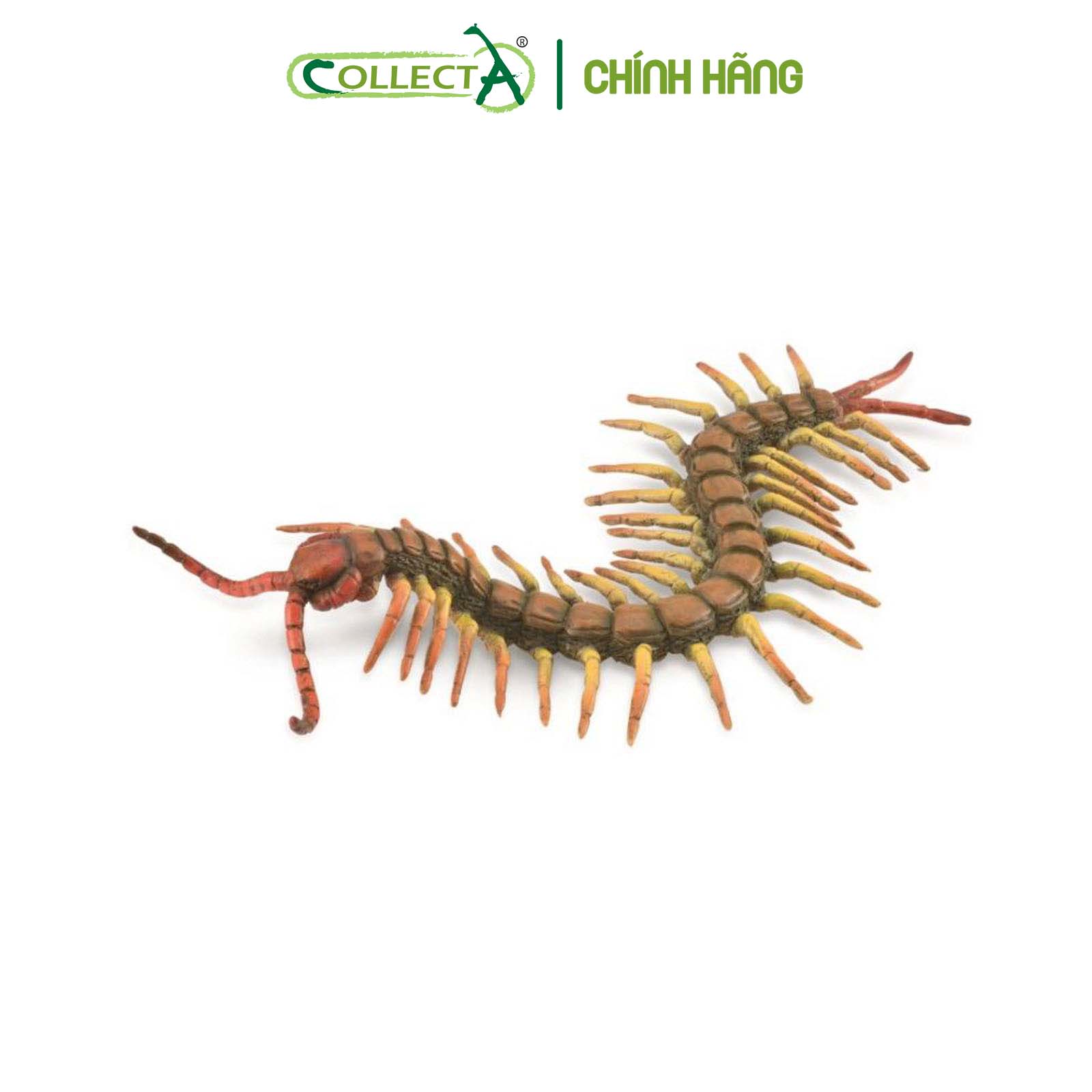 Mô hình thu nhỏ: Rết - Centipede, hiệu: CollectA, mã HS 9653040 [88885] -  Chất liệu an toàn cho trẻ - Hàng chính hãng