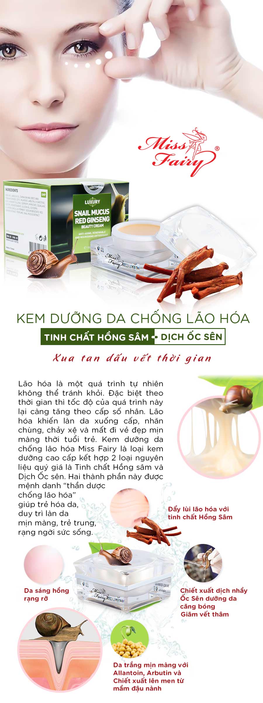 KEM MISSFAIRY ỐC SÊN - HỒNG SÂM 12G - CHỐNG NHĂN CHỐNG LÃO HOÁ