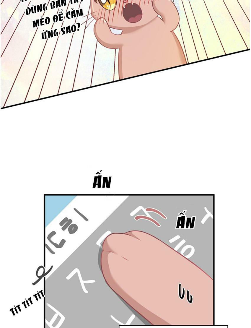 cuộc sống kỳ thú chapter 17 21