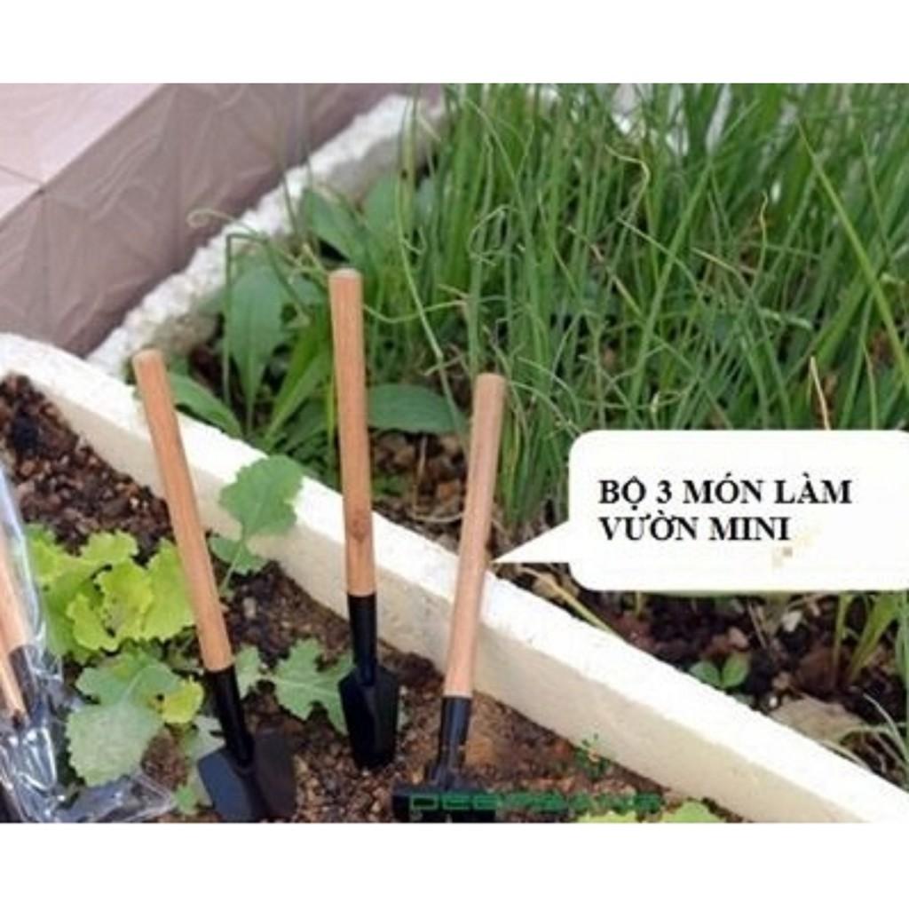 Bộ Dụng Cụ Làm Vườn Mini 3 Món Tiện Dụng