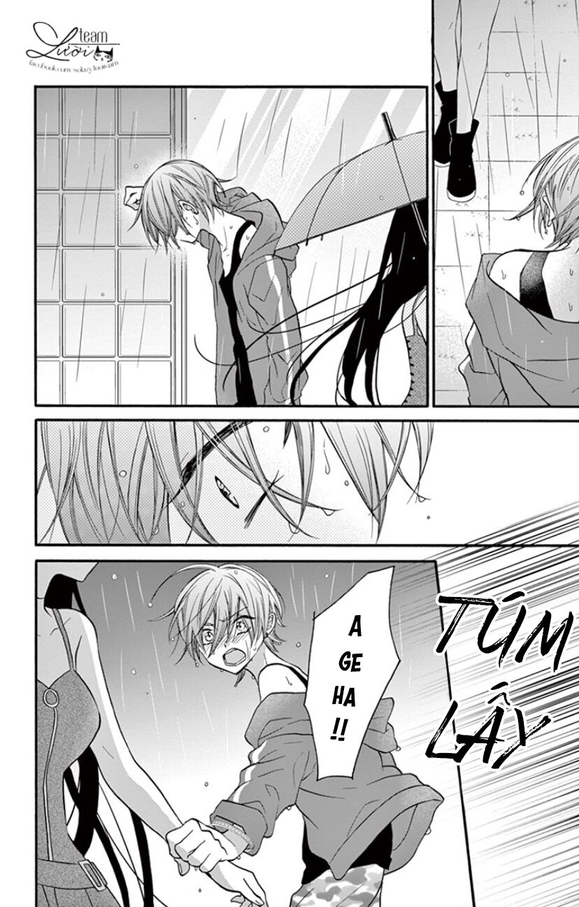 chàng rể giả nhân giả nghĩa chapter 17 7