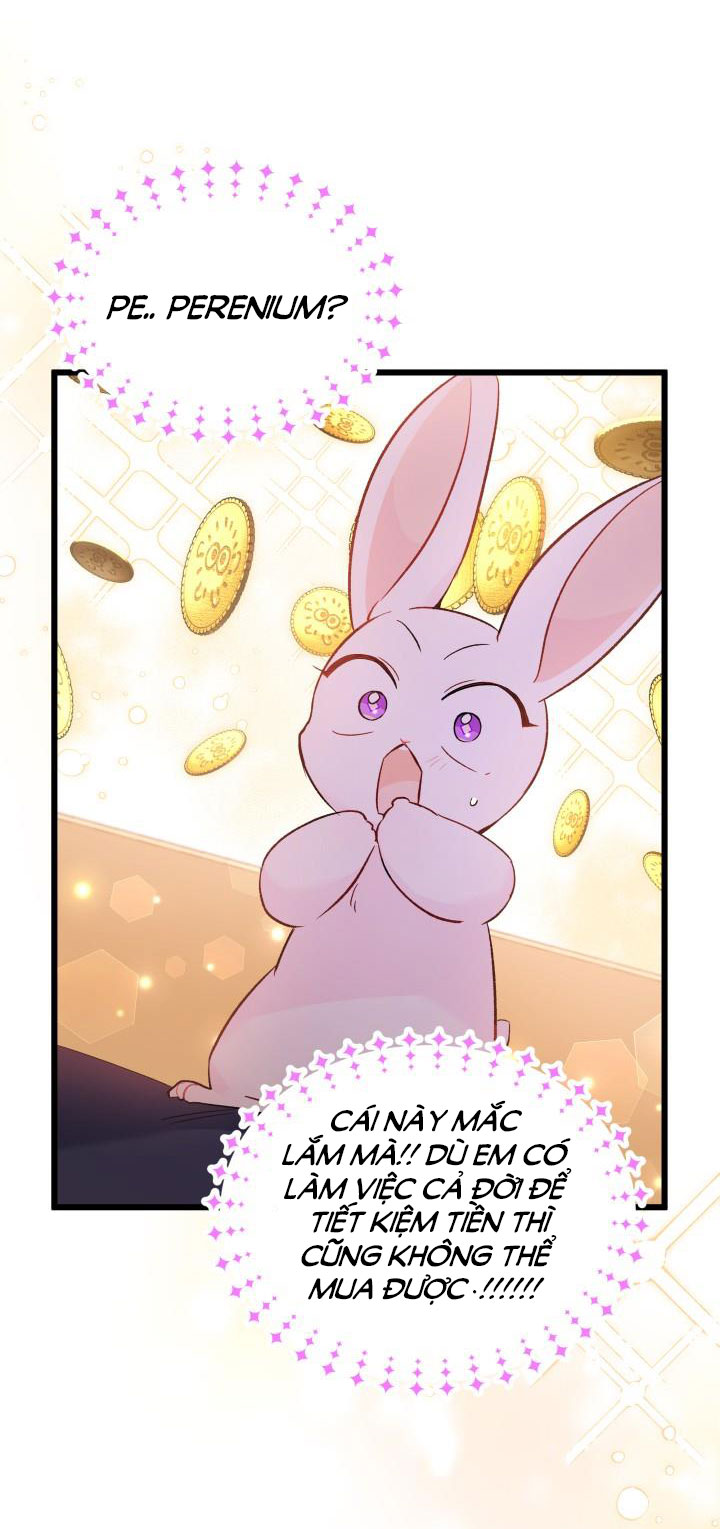 mối liên kết giữa báo đen và bé thỏ chapter 56 38