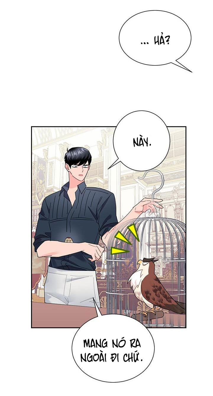 công chúa của loài chim chapter 25 18