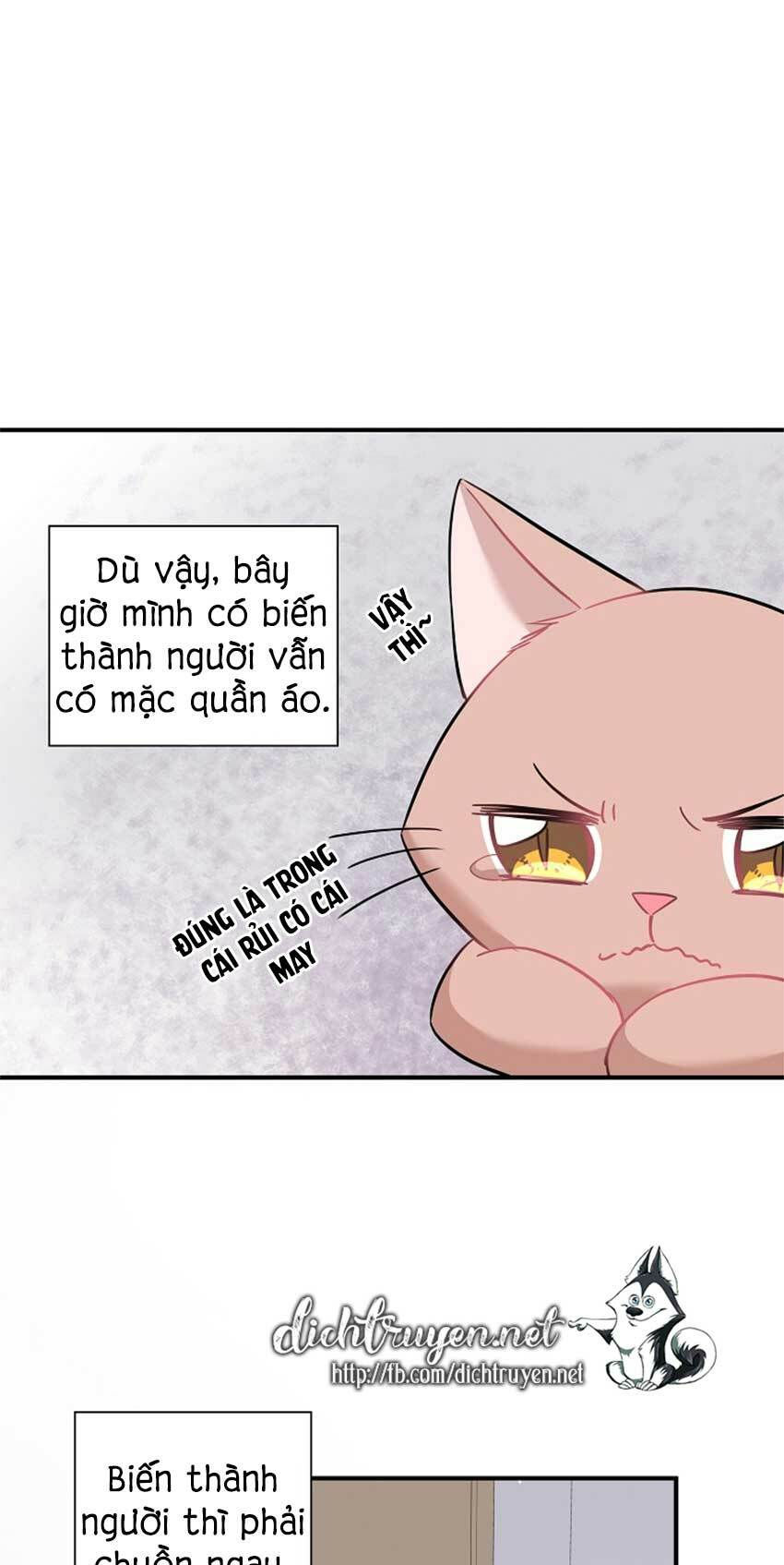 cuộc sống kỳ thú chapter 22 16