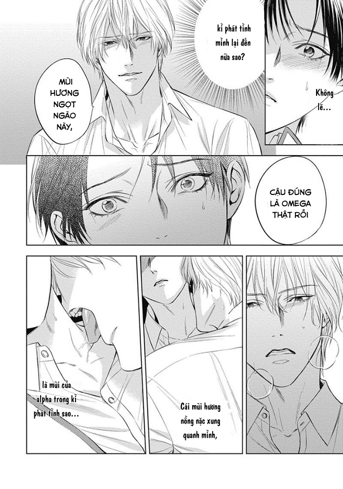 cô dâu của alpha chapter 4 26