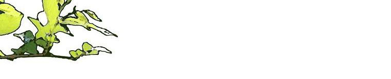 xin hãy kết hôn với em chapter 38 499