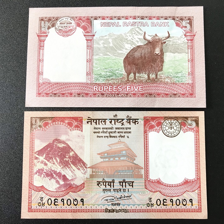 Combo 10 tờ lưu niệm hình con Trâu của Nepal, dùng để sưu tầm, lưu niệm, làm tiền lì xì độc lạ, may mắn, ý nghĩa - TMT Collection - SP005070