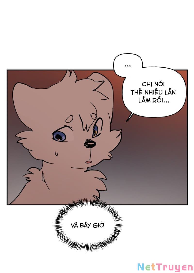 lumine - cội nguồn ánh sáng chapter 113 27