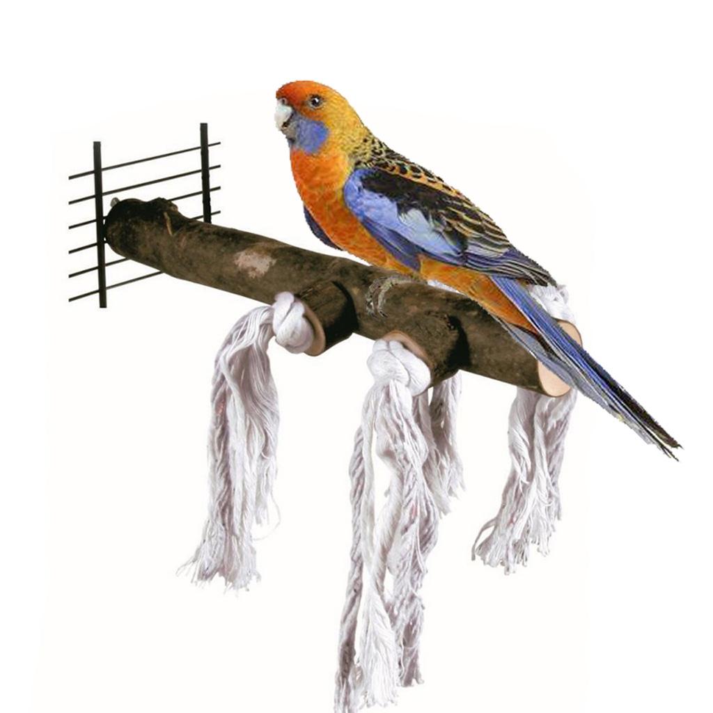 Wood Pet Parrot Stand Toy Parakeet Conure Perches for Bird Cage