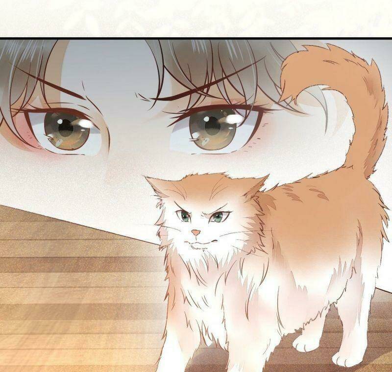 sát thủ vương phi không dễ chọc chapter 33 43