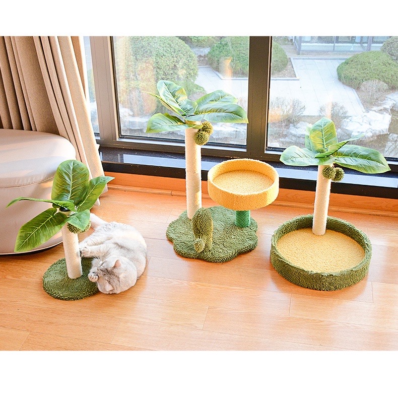 Cào móng cây dừa lớn cho mèo