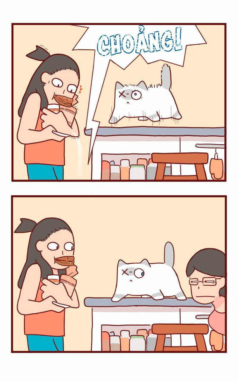 saphie: chú mèo một mắt chapter 21 5