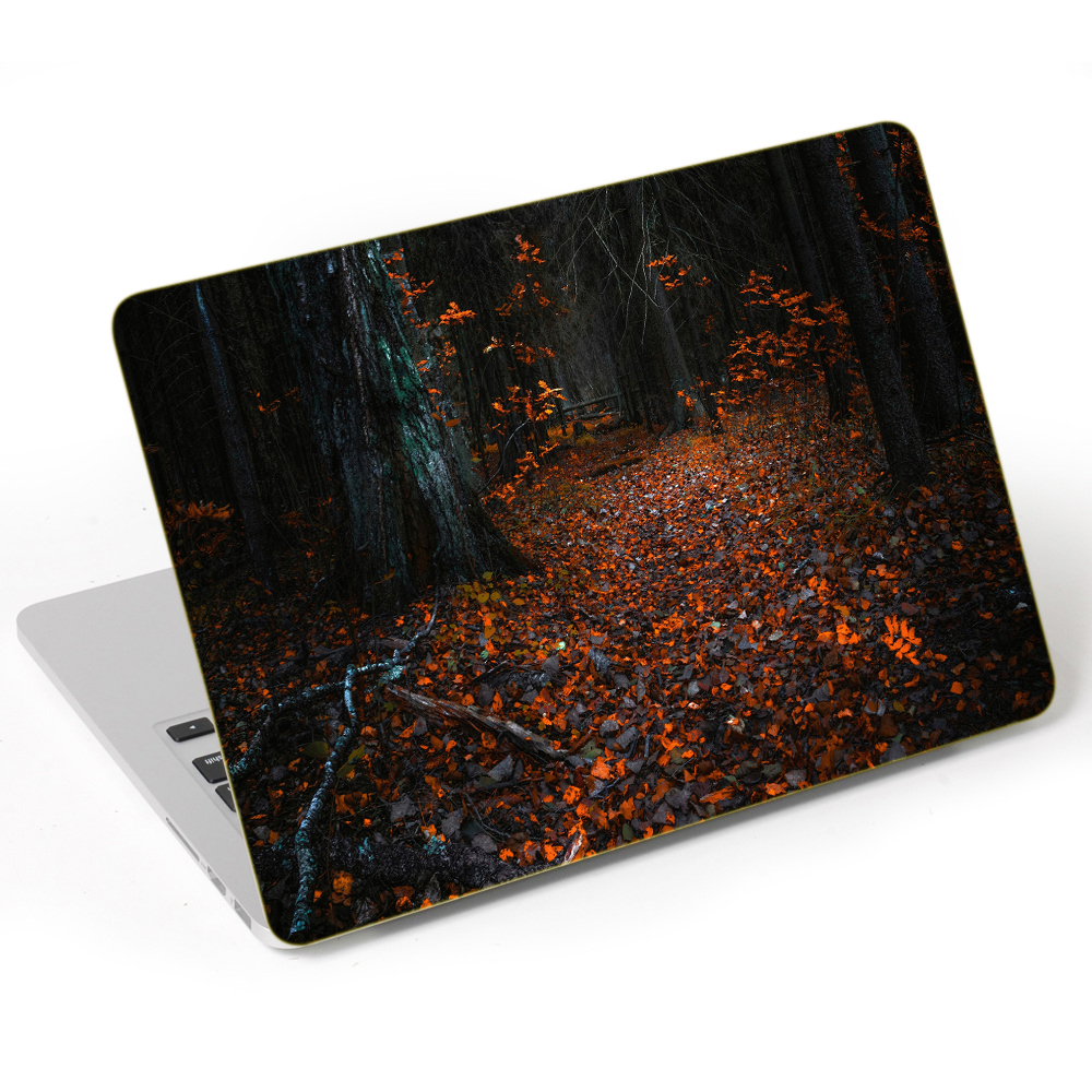 Mẫu Dán Laptop Thiên Nhiên LTTN - 81
