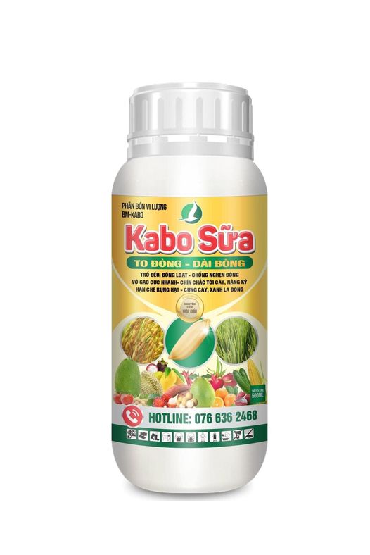 Phân bón lá KABO SỮA (500ml) - SIÊU TO ĐÒNG, DÀI BÔNG