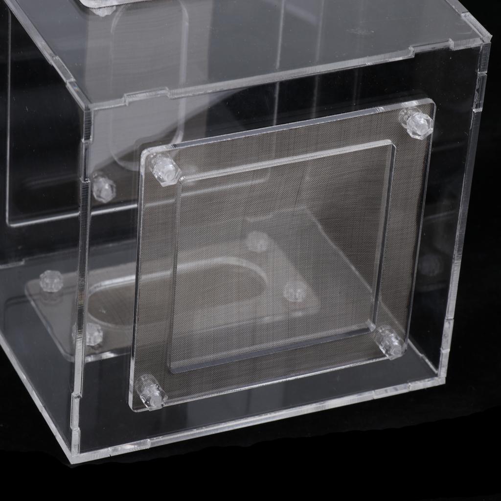 Small Reptile Lizard Spider Scorpion Insect Vivarium Feeding Rearing Box