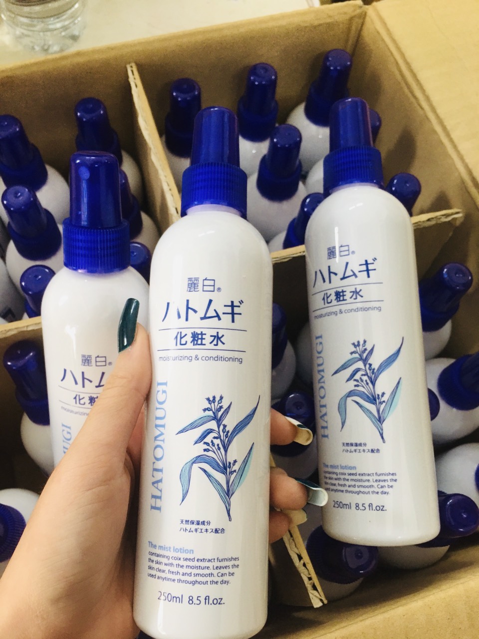 Xịt Khoáng Trắng Da Reihaku Hatomugi Mist Lotion - 31319 (Chai 250ml)