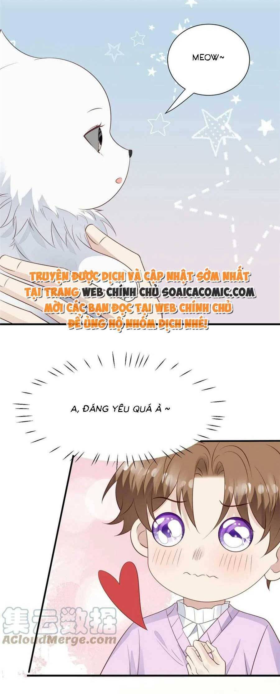 dựa vào đại lão ổn định vị trí c trong nam đoàn chapter 185 3