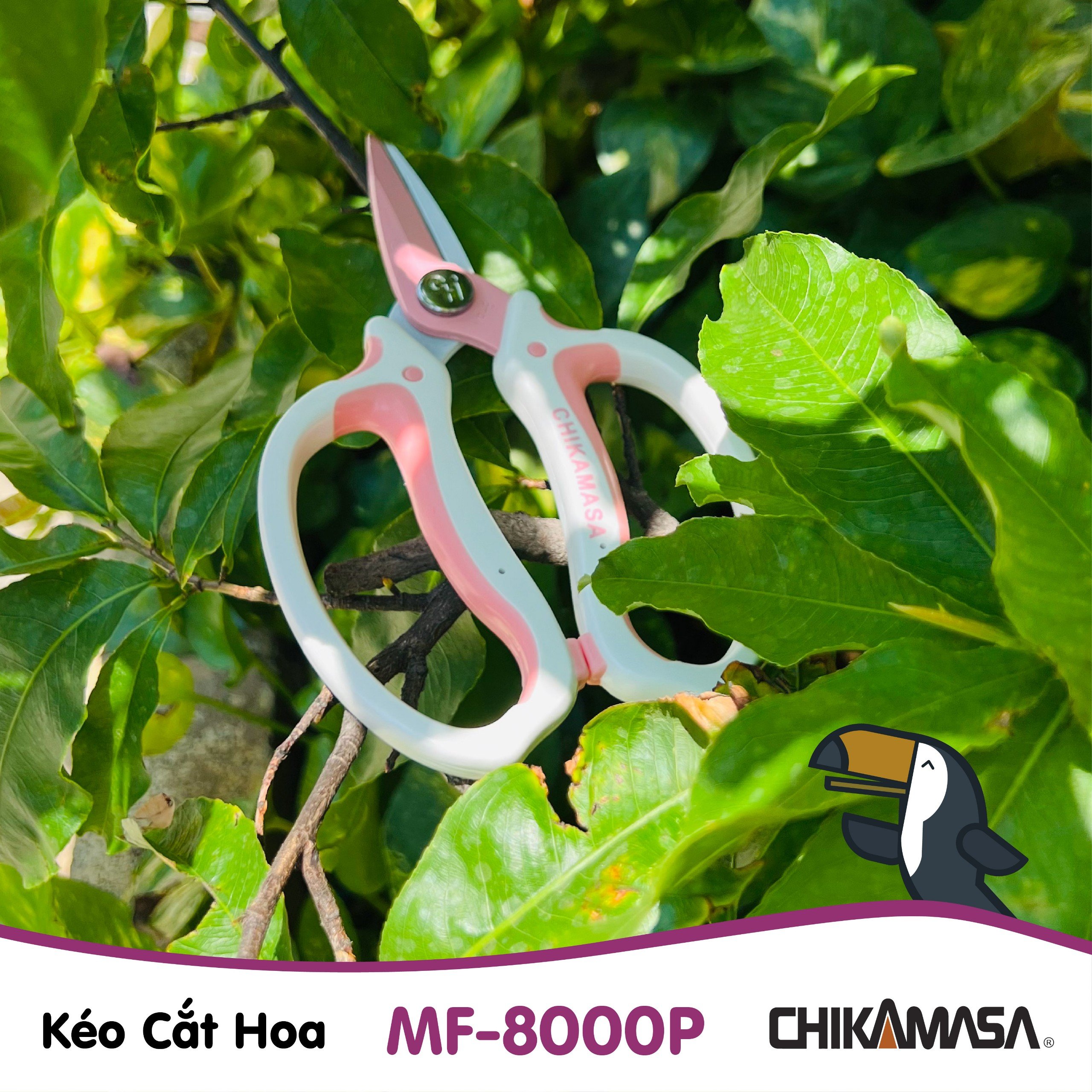 Kéo cắt hoa Nhật Bản Chikamasa MF-8000P