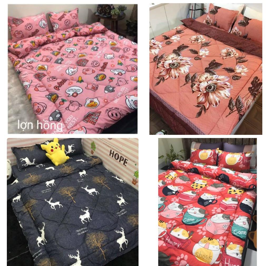 Bộ Chăn Phao Kèm Ga Và Vỏ Gối Dành cho Mọi Gia Đình_TH