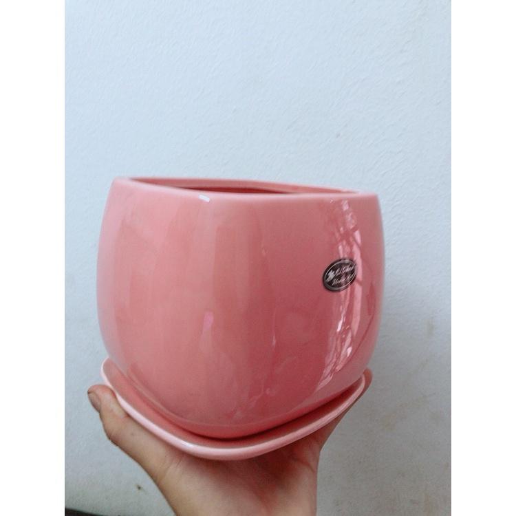 Chậu Trồng Cây
