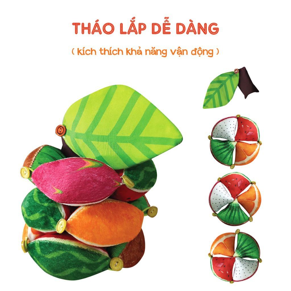 Hình ảnh Bóng múi luyện chân PiPô Việt Nam - Montessori Fruits