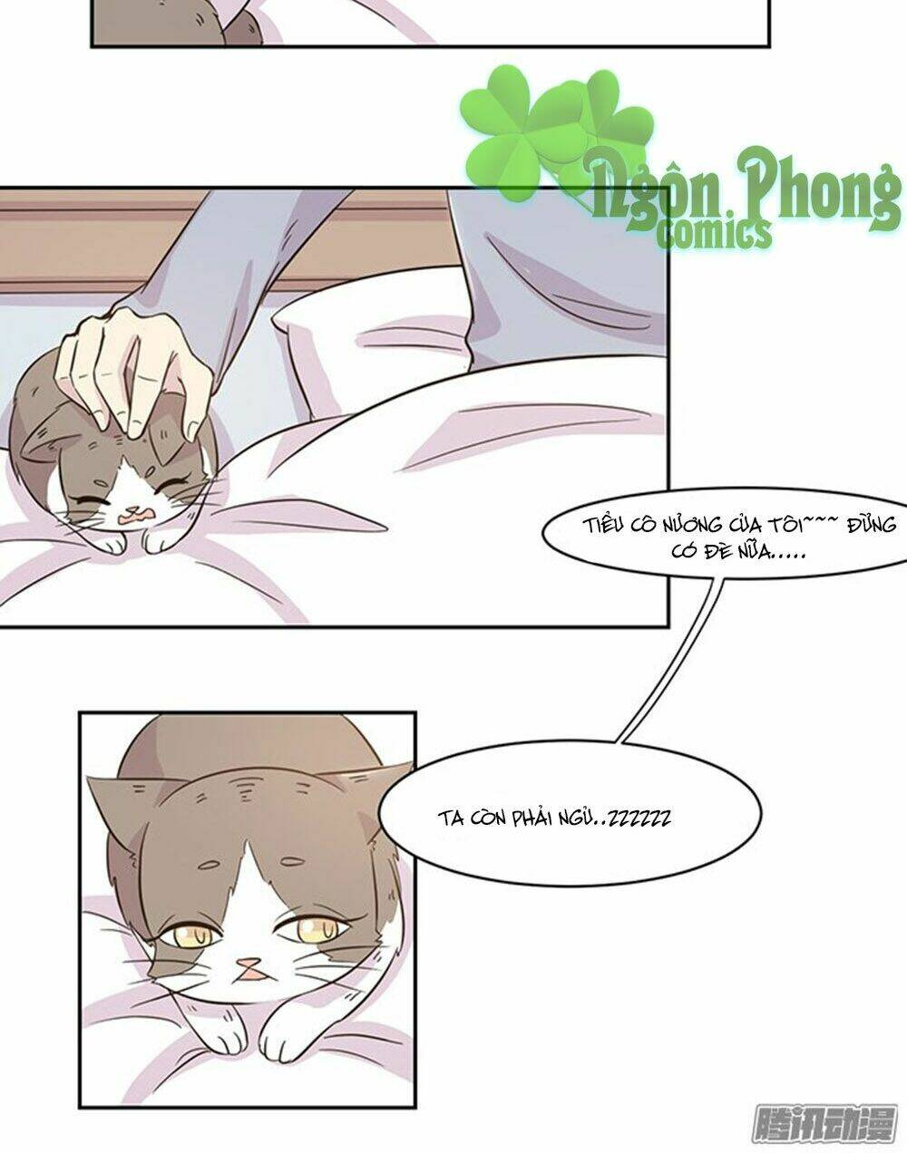 hai chú mèo totem chapter 19 12