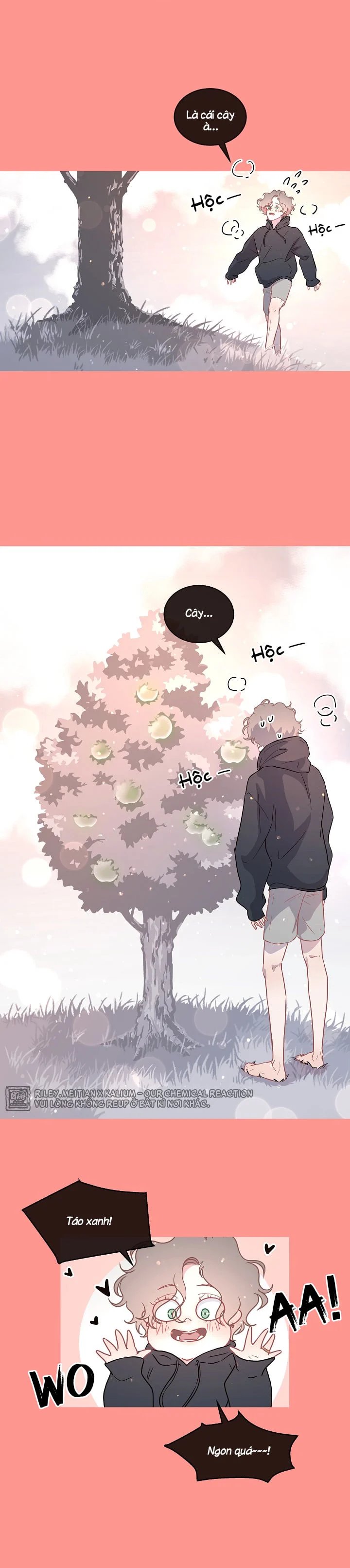 làm cách nào để theo đuổi một alpha? chapter 58 7