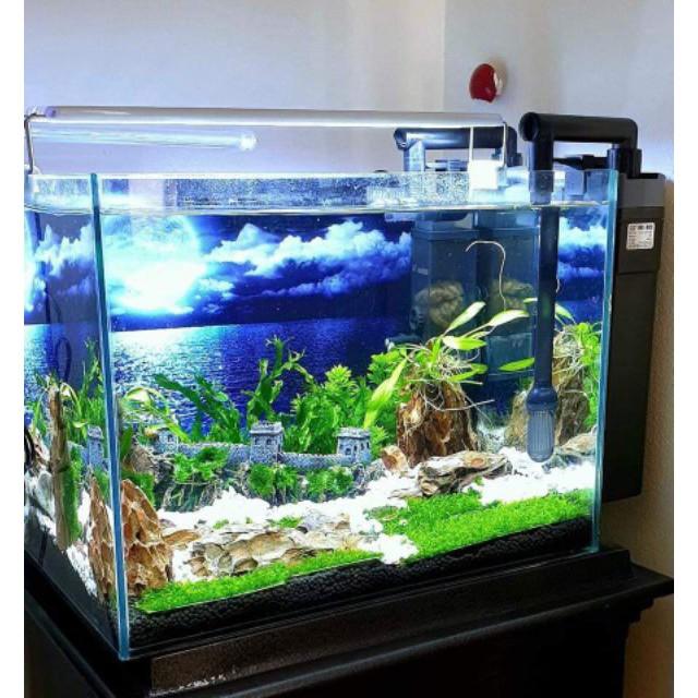 Đèn bể cá ️️ Đèn led máng dành cho bể thủy sinh 20cm, 30cm, 40cm, 50cm, 60cm